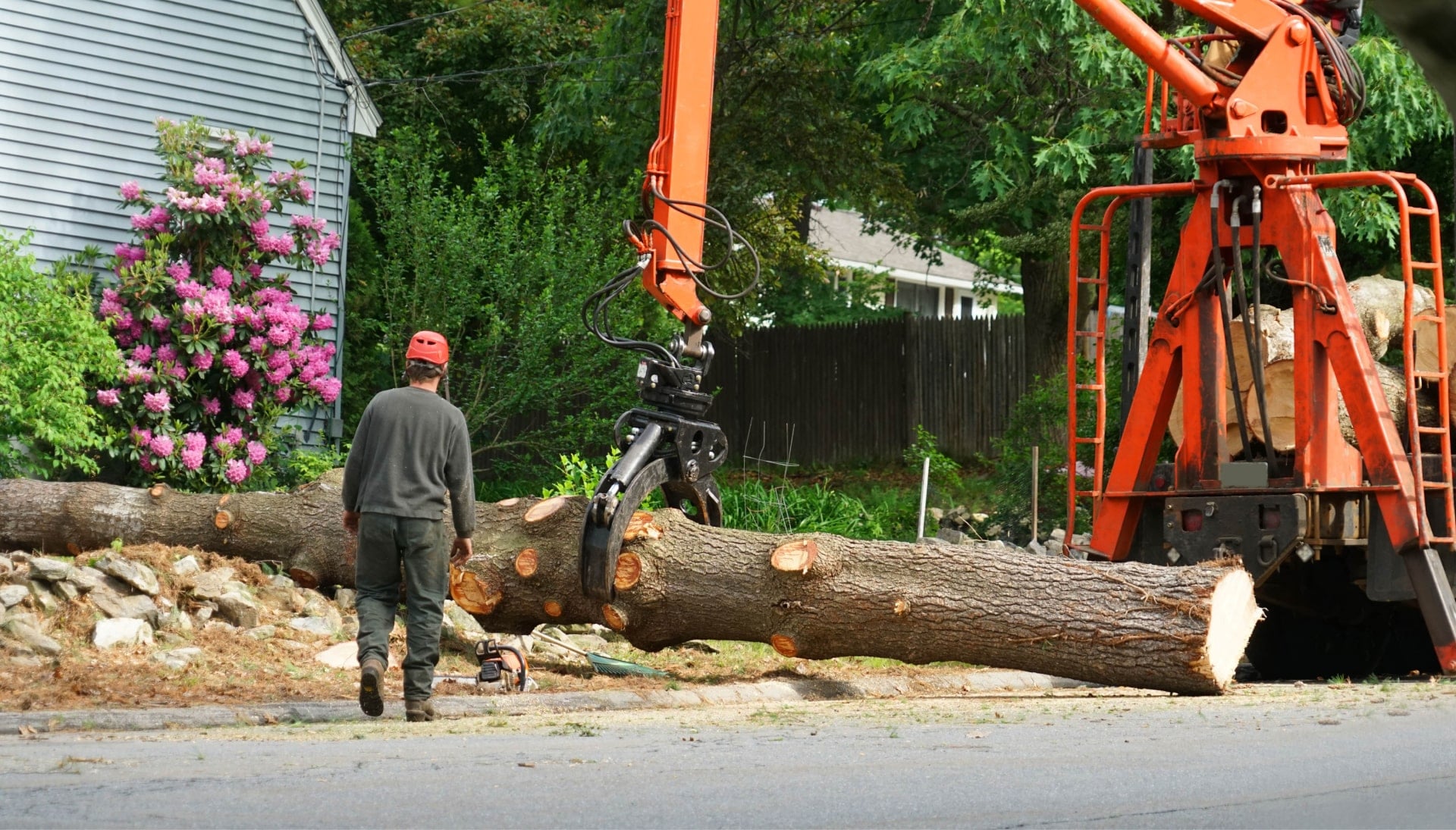 Top rated tree removal services Atlanta, Georgia